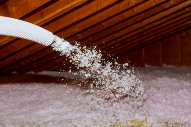 Best Cellulose Insulation in El Dorado, AR
