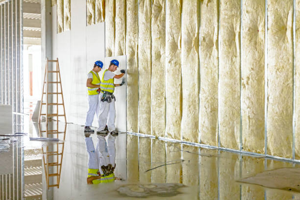 Best Eco-Friendly Insulation in El Dorado, AR